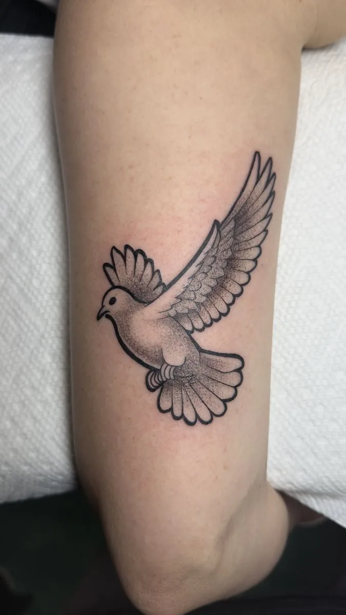 Tatuaje whipshading: paloma en vuelo, en el brazo